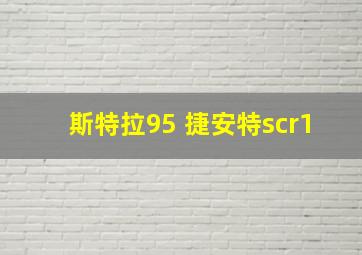 斯特拉95 捷安特scr1